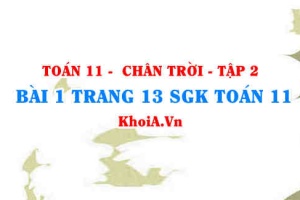 Bài 1 trang 13 Toán 11 Tập 2 Chân trời sáng tạo